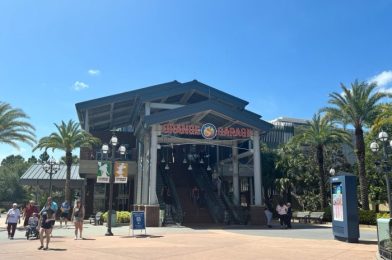 EXCITING CHICKEN TENDER NEWS: A Popular Disney Springs Restaurant Is Expanding!