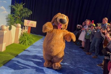BREAKING: Talking Dug from ‘Up’ Meet and Greet Coming to Pixar Fest 2024