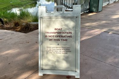 Disney Springs Area Water Taxis Closed Indefinitely