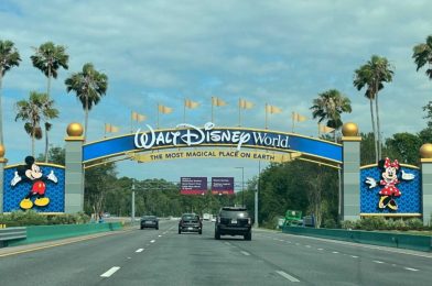 Homeless Man at Walt Disney World Charged with Battery for Forcibly Shoving Candy Down a Sheriff Deputy’s Body Armor