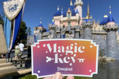Disneyland Magic Key Holder Banned for a Year After Reselling Tickets