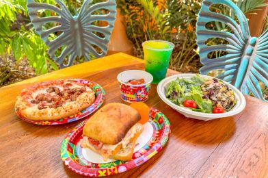 REVIEW: I Grossly Overpaid for a TV Dinner in Disney World, and I Feel Betrayed