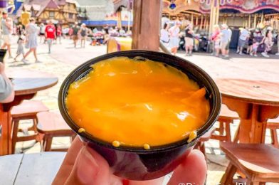 This $7 Meal Is Our New Favorite Thing in Magic Kingdom