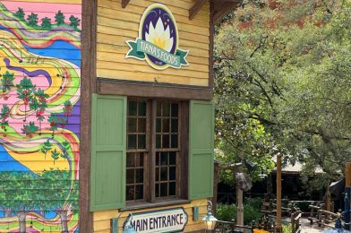 Armadillo Figure, Farmers Market Sign, & More Unveiled at Tiana’s Bayou Adventure in Magic Kingdom