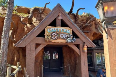 Detailed Look Inside the Windows for Critter Co-op & More Tiana’s Bayou Adventure Updates