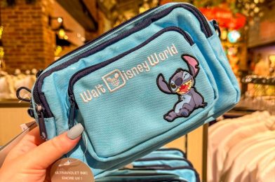 The Belt Bag That Everyone Wears in Disney World Is 33% Off Right Now