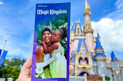 We Just Spotted an Exciting CHANGE in the Disney World App!