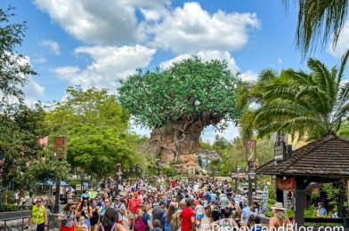 Wait, What Is Going On? Disney World’s Least Popular Park Is SOLD OUT Today