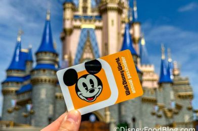 REMINDER: The NEW Disney World Annual Passholder DISCOUNT Starts TOMORROW!