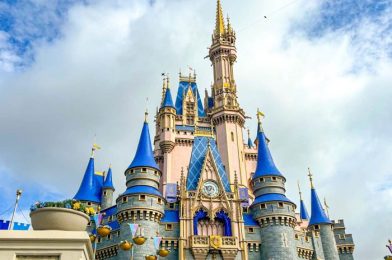 DFB Goals: Lydia Just Ate at Every Magic Kingdom Fast Food Restaurant! Here’s What She Wants You to Know.