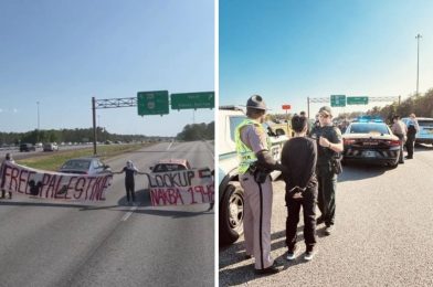 Pro-Palestine Protesters Arrested After Blocking Walt Disney World Highway Exit