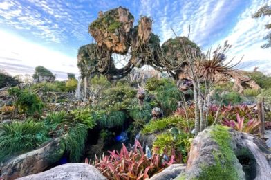 New DisneylandForward Details: Pandora Park Expansion and More!