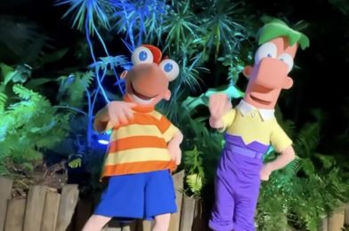 Phineas and Ferb Meet and Greet Coming to H2O Glow