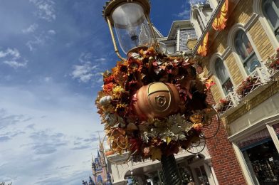 Dates Announced for 2024 Mickey’s Not So Scary Halloween Party