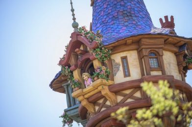 FIRST LOOK INSIDE Disney’s NEW Tangled Ride: Rapunzel’s Lantern Festival in Tokyo DisneySea Fantasy Springs!