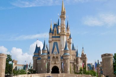 Elementary School Teacher Arrested for Assaulting Woman During Field Trip to Tokyo Disneyland