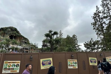 Scaffolding Removed From Tiana’s Bayou Adventure Water Tower at Disneyland