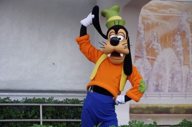 Grandma Groped Goofy – Character Allegedly Assaulted By Elderly Woman at Walt Disney World