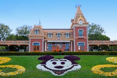 Disneyland Summer Ticket & Hotel Offers 2024