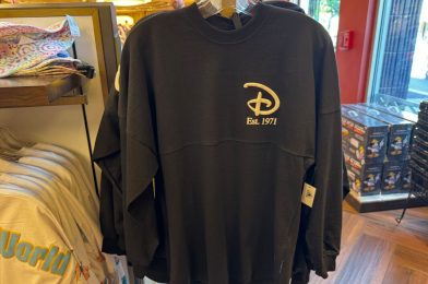 New Black Walt Disney World Spirit Jersey Featuring Modern Logo