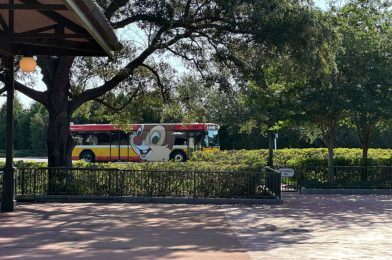 PHOTOS: New Chip ‘n’ Dale Bus Debuts at Walt Disney World
