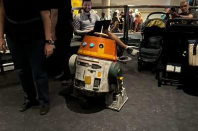 PHOTOS, VIDEO: Chopper From ‘Star Wars Rebels’ Arrives at Disney’s Hollywood Studios