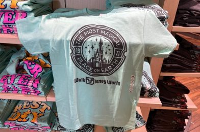 New Teal Blue Walt Disney World T-Shirt Now Available
