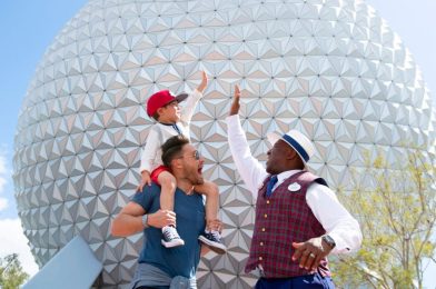 20% Discount on Walt Disney World VIP Tours Available to DVC Members