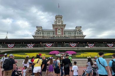 Bob Iger Confirms ‘Almost All’ Investments in Disney Parks Attractions & Lands Will be IP-Based & More: Daily Recap (5/16/24)