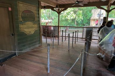 PHOTOS: Jungle Cruise Dock Boards Completely Replaced at Magic Kingdom