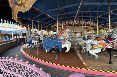 Prince Charming Regal Carrousel Floor Stained During Refurbishment at Magic Kingdom
