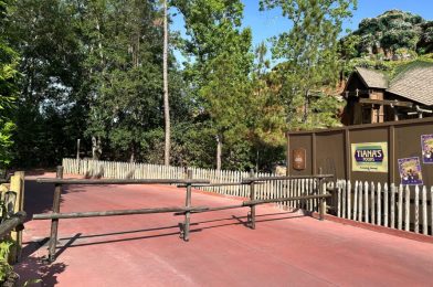 Some Construction Walls Down, New Sign Installed at Tiana’s Bayou Adventure in Magic Kingdom