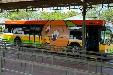 NEW Orange Bird Bus Debuts at Walt Disney World